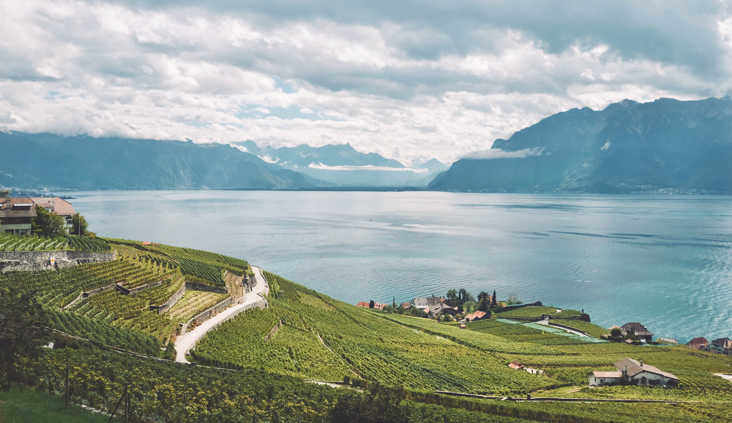 Landscape — 20