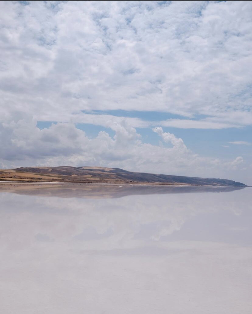 Landscape — 23
