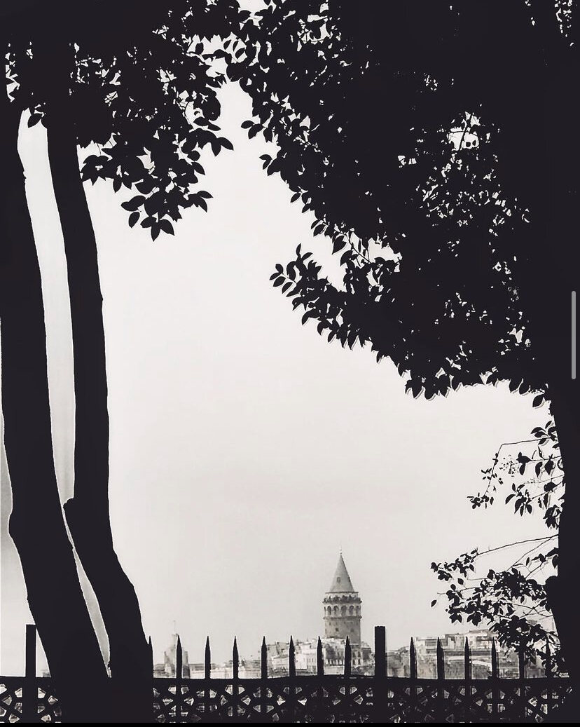 Landscape — 29