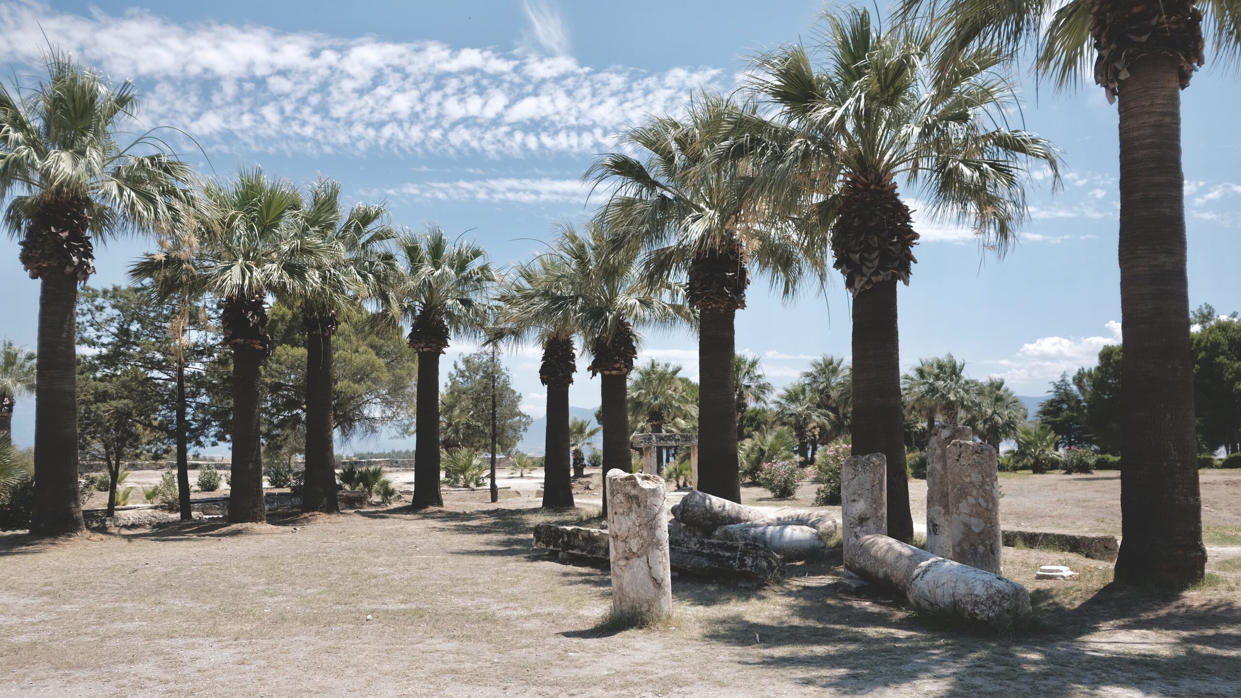 Landscape — 28